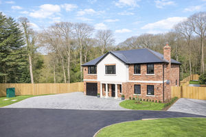 Photo 22- click for photo gallery